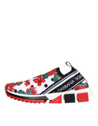 Dolce & Gabbana - Multicolor Geranium Sorrento Sneakers