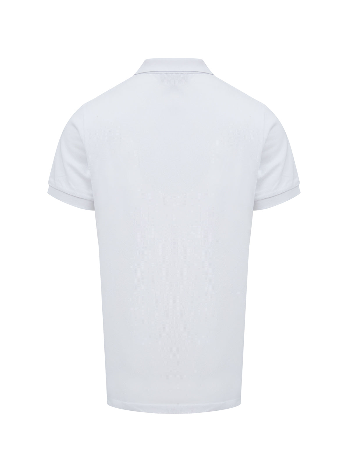Burberry -  White Cotton Collared Polo Shirt
