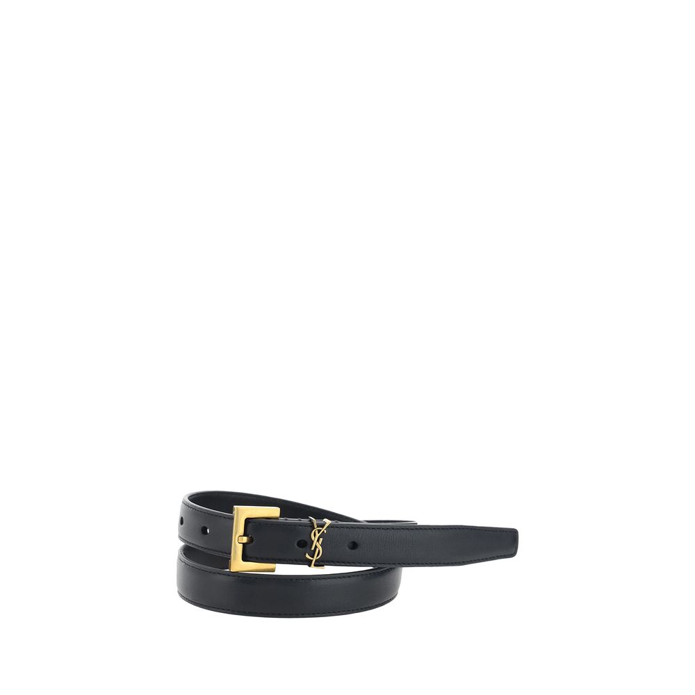 Black belt with a gold buckle on a white background