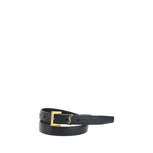 Black belt with a gold buckle on a white background