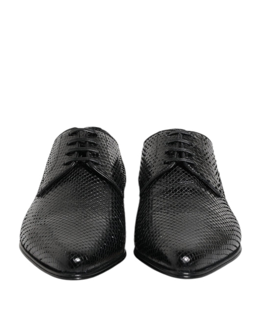 Dolce & Gabbana – Black Python Leather Derby Shoes
