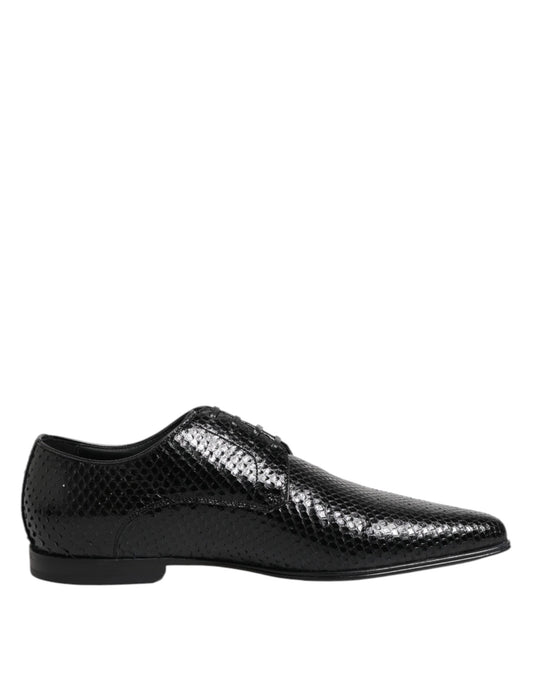 Dolce & Gabbana – Black Python Leather Derby Shoes